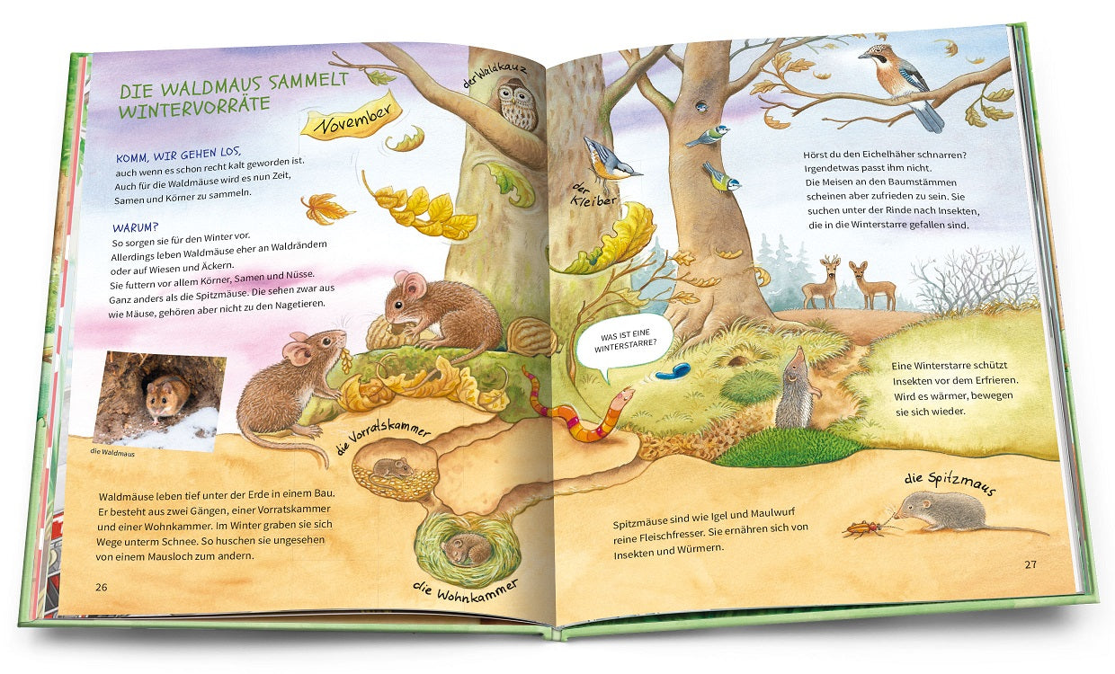 Geh hinaus und entdecke … Tiere und Pflanzen beim Waldspaziergang — Buchcover
